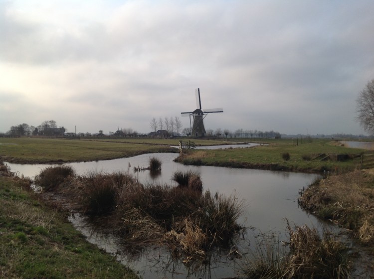 dutch landscape