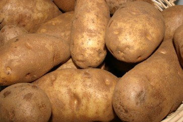 Russet-Potatoes-morgue