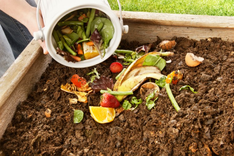 photo-faire-son-compost